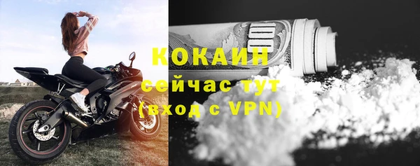 мет Арсеньев