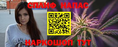 гашик Гатчина