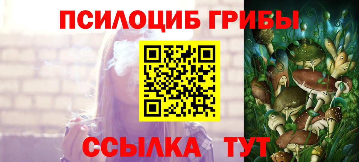 как найти наркотики  Вход с VPN  Красноярск  Псилоцибиновые грибы мицелий 